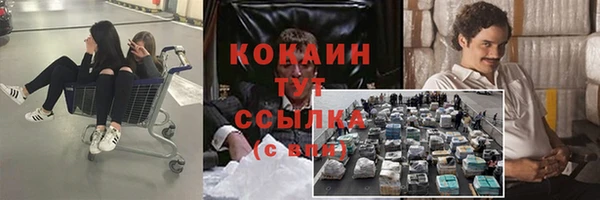 меф Дмитриев