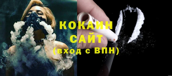 меф Дмитриев
