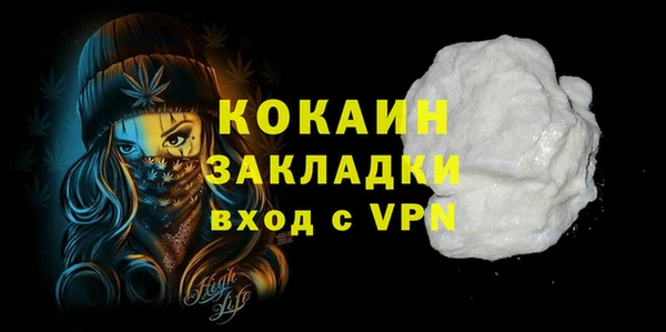 меф Дмитриев