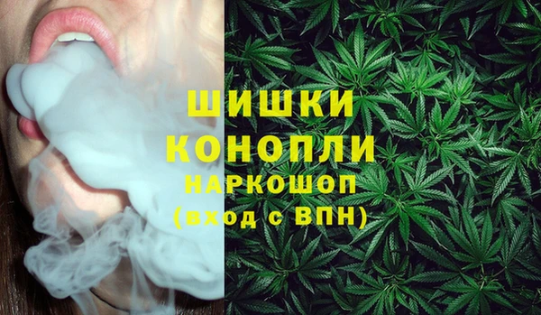 меф Дмитриев