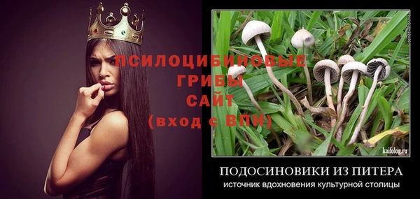 меф Дмитриев