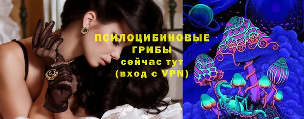 меф Дмитриев